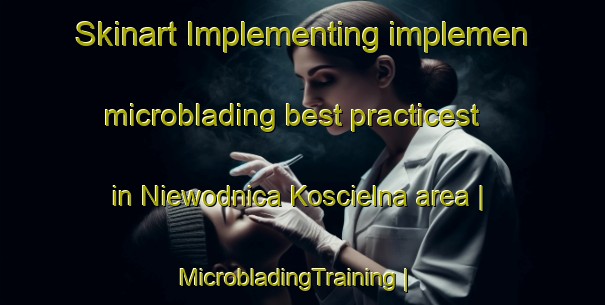 Skinart Implementing implemen microblading best practicest in Niewodnica Koscielna area | MicrobladingTraining | MicrobladingClasses | SkinartTraining-Poland